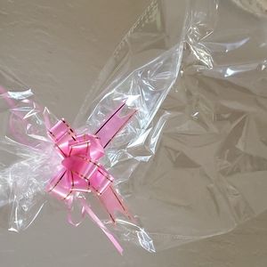 Clear Gift/Storage Bag with pink Ribbon nwot